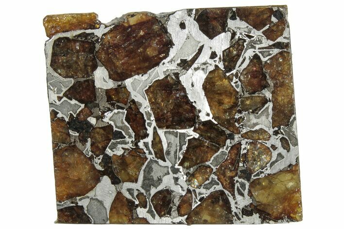 Brahin Pallasite Meteorite ( g) Slice - Belarus #307396